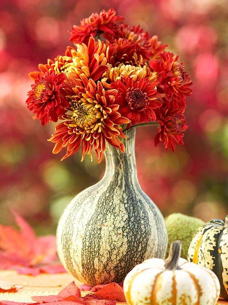 Herbstblumen-flaschenkürbis-Herbstdeko-Ideen-im-Haus