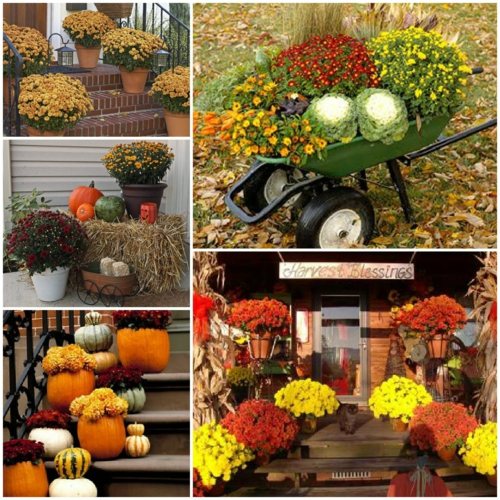 Veranda-Eingang-Herbstliche-Dekorationen-Blumen