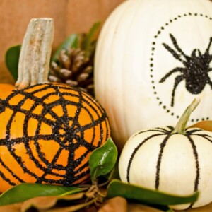 halloween gartendeko zum selbermachen glitzer dekoration kuerbis spinne spinnennetz