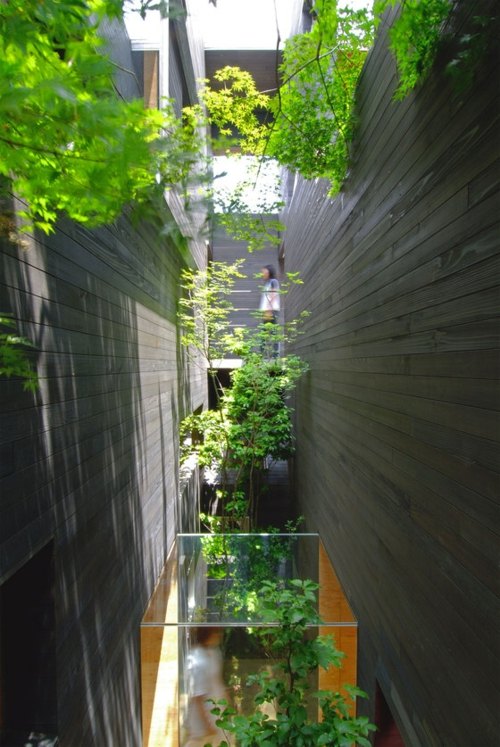 innenhof-bäume-Moderne-minimalistische-Architektur