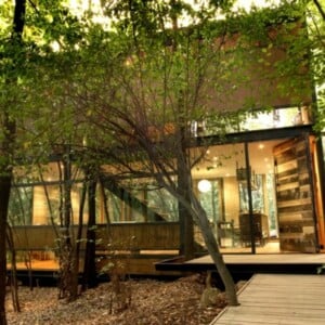 modernes-Glashaus-mitten-im-Wald