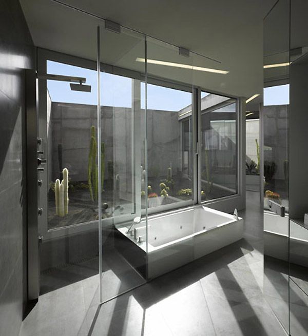 modernes-minimalistisches-haus-glas-badezimmer-kakteen