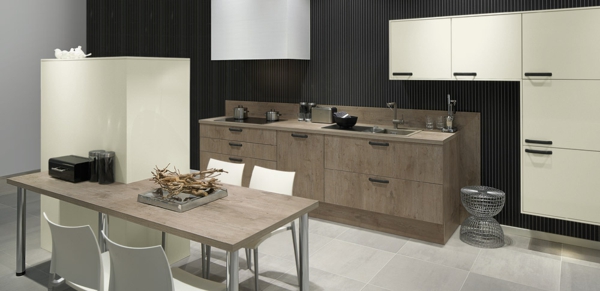 Schöne Küchen Möbel für jeden Geschmack von Pronorm