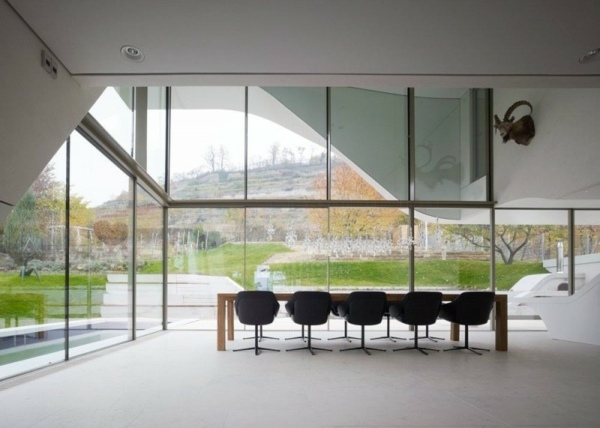 Haus-am-Weinberg-stuttgart-glasfenster-boden-bis-zur-decke