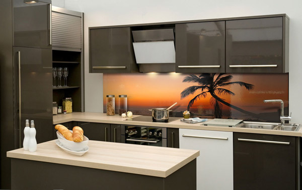 Küchen-rückwand-Acrylglasfoto-palme