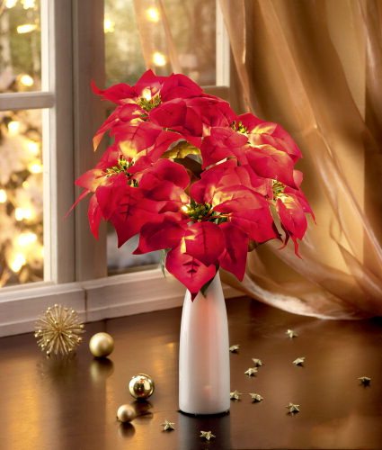 festlich-rote-Weihnachtsdeko-Ideen-vase-weihnachtsstern