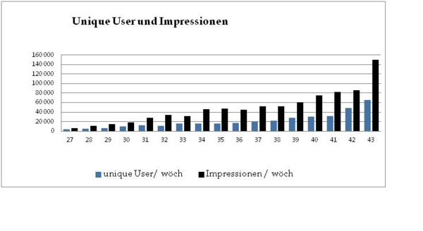 unique-Besucher