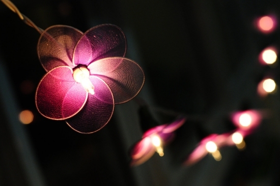 Lampen Blumen zum Valentinstag Dekoideen