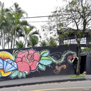 Haus-Brasilien-Graffiti