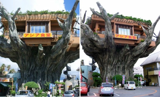 japanisches-Restaurant-auf-Baum