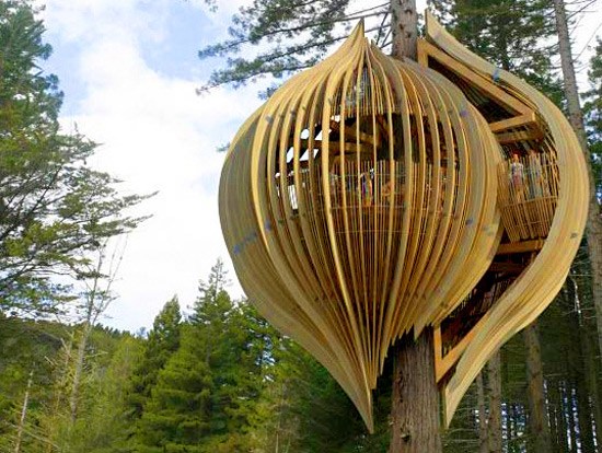 schöne-innovative-Holzkonstruktion-Baum