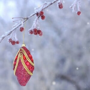 weihnachtdeko im garten elegant schmuck zweig winter frost gold rot