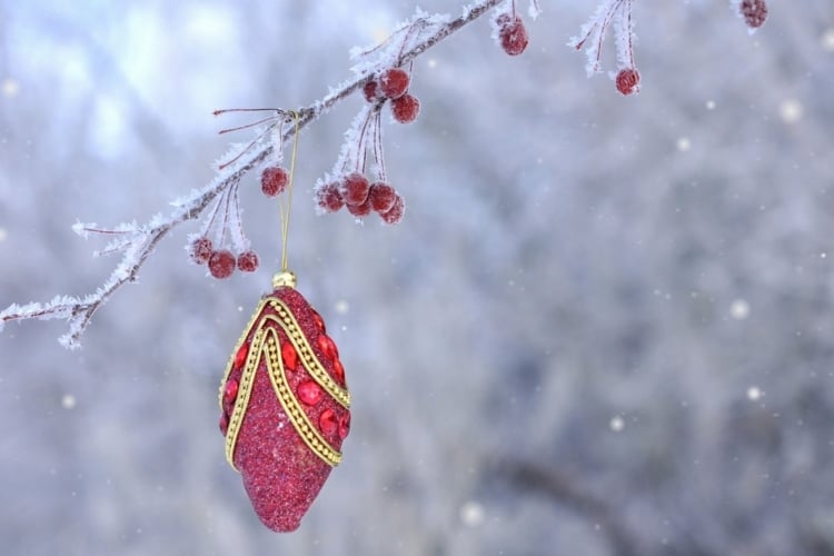 weihnachtdeko im garten elegant schmuck zweig winter frost gold rot