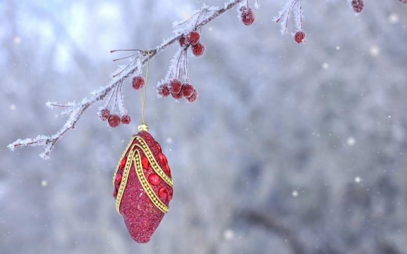 weihnachtsdeko im garten elegant schmuck zweig winter frost gold rot