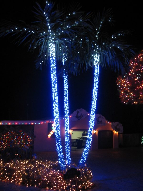 Außendekorationen Weihnachten clot familie palmen florida