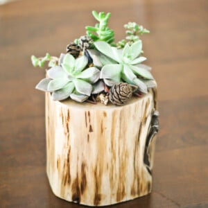Deko Ideen Blumentopf-Holz Zimmerpflanzen
