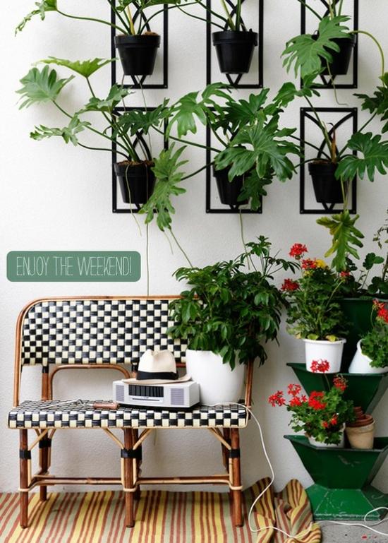 Grüne Wand-Pflanzen Bank Gestaltung