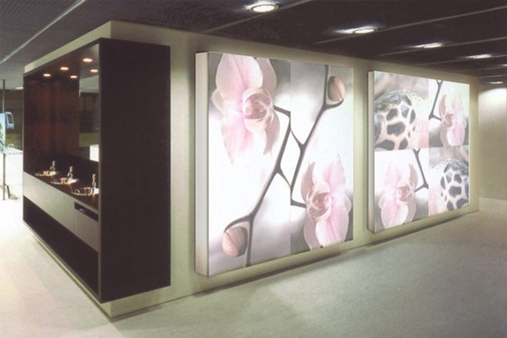 Lichtwand Raumteiler-Blumenmotive Innenarchitektur