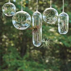 Outdoor Dekoration-Glas Terrarien