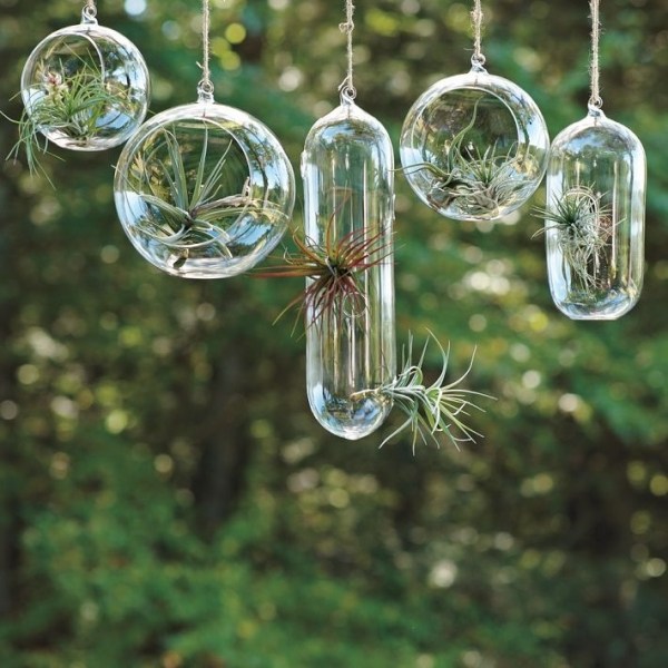 Outdoor Dekoration-Glas Terrarien Pflanzen