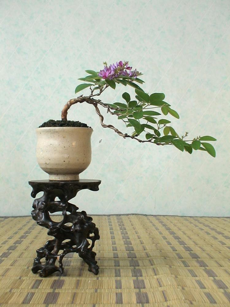 bonsai baum beistelltisch holz verschnoerkelt pflanzkuebel