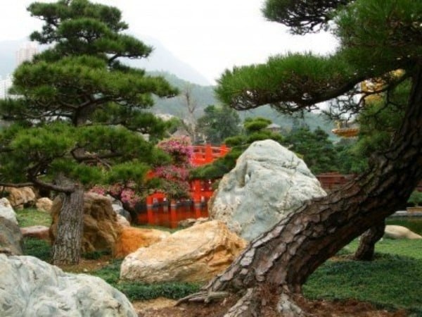 16 schritte für japanischen garten gestalten bäume