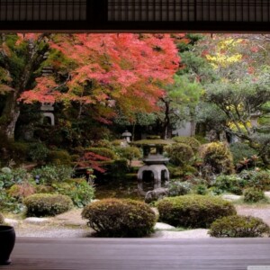 16-schritte-für-japanischen-garten-anlegen-herbst