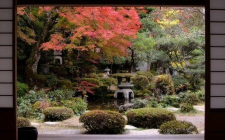 16-schritte-für-japanischen-garten-anlegen-herbst