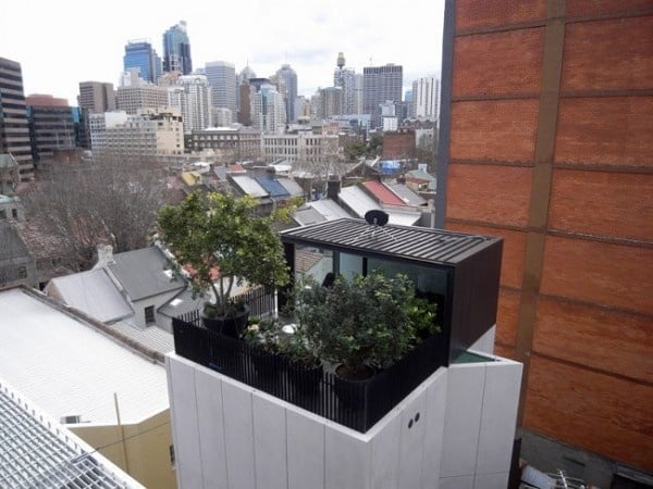 Dachterrasse Sidney bepflanzt üppig