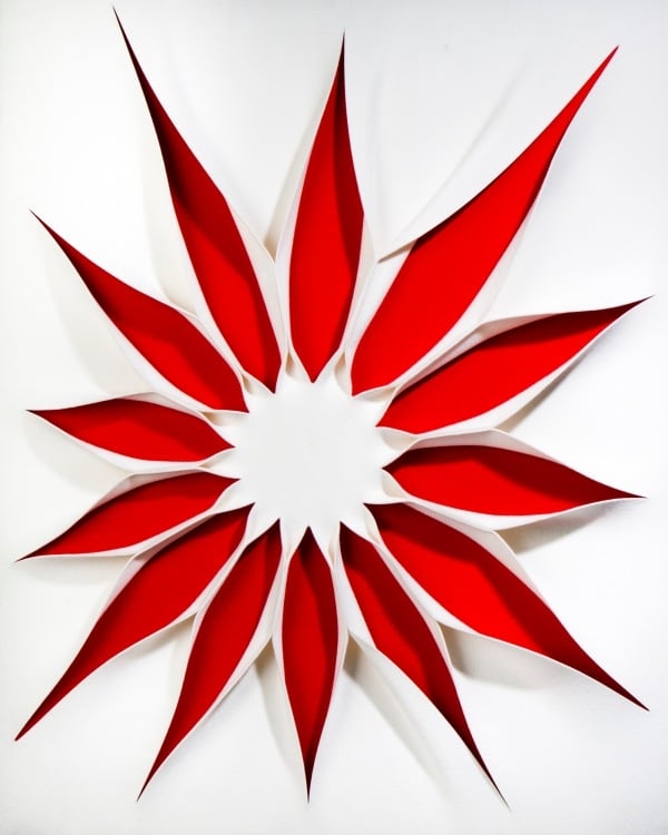 Dekorative Wanddeko-System rote Blume textilwand