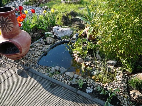 Garten Design-Teich