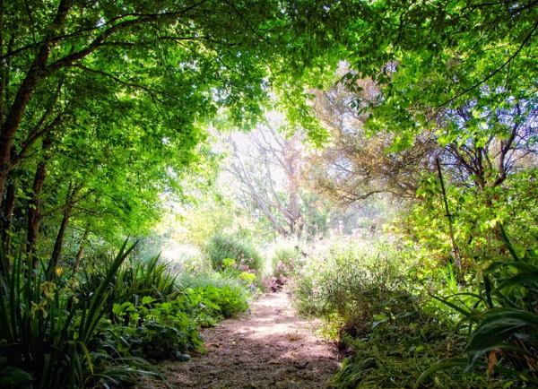 Grüner Garten Richmond Victoria Australien