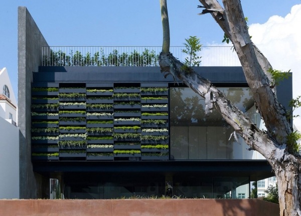Grünes Haus Fassade Design