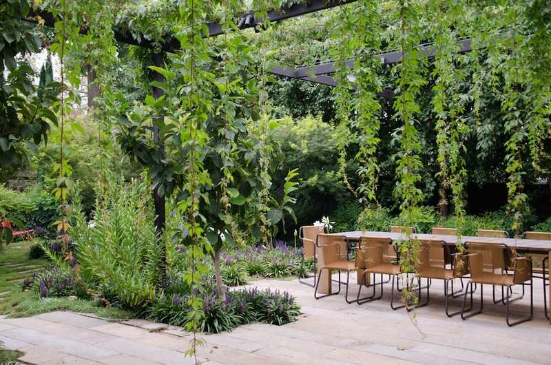 Holz Pergola bepflanzen-Ideen-modern-Sitzplaetze-Garten