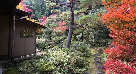 Japan Tee-Garten-Kotoin Tempel Kyoto