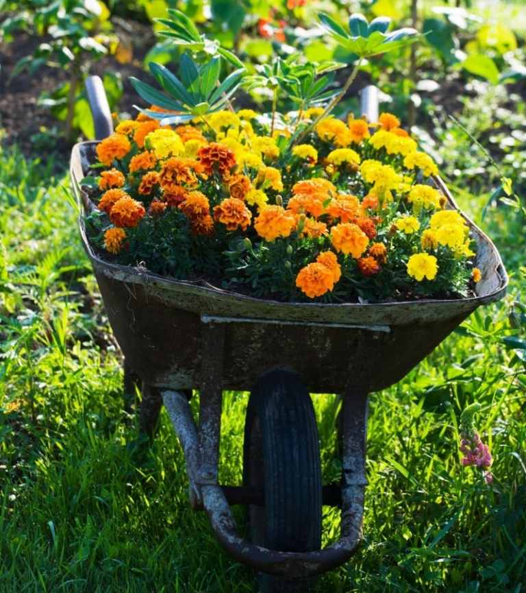 Kreative-Gartenideen-Schubkarre-mit-Blumentoepfen-fuellen
