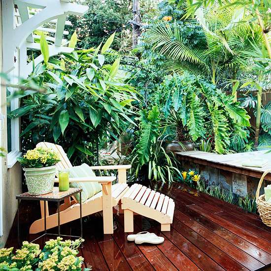 Sichtschutz Terrasse tropische pflanzen üppig