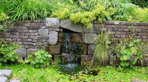 Wasserwand Brunnen Grün Pflanzen Garten