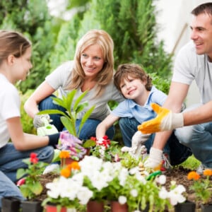 Familienfreundlichen Garten