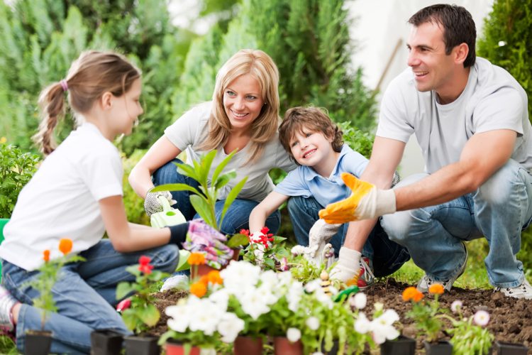 Familienfreundlichen Garten -gestalten-pflanzen-anbauen-frizeit-aktivitaet