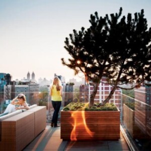 garten-auf-der-dachterrasse-mit-modernem-design-ausblick