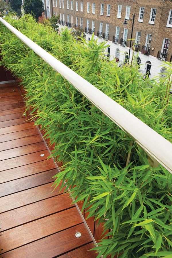 garten dachterrasse mit modernem bambus