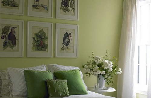 gras grünes Schlafzimmer-Wanddeko Idee Vögel