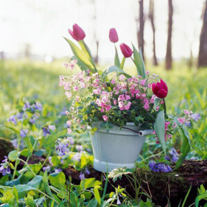 ideen-für-gartengestaltung-garten-im-pflanzgefäß-tulpen