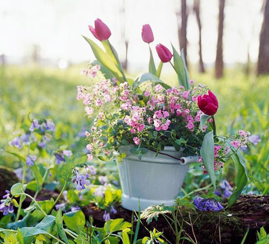 ideen-für-gartengestaltung-garten-im-pflanzgefäß-tulpen