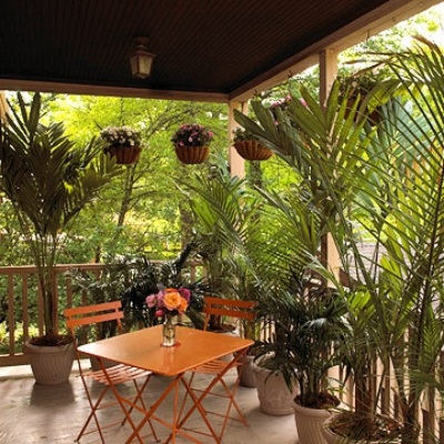 ideen für gartenmöbel im außenbereich gestalten palmen