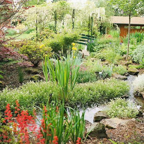 ideen wassergarten die perfekte gestaltung pflanzenwelt