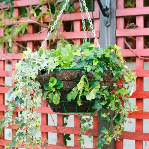 interessante-ideen-für-blumenampel-im-garten-klassisch