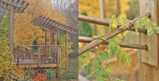 mehrstufiges Deck-Weinrebe Terrasse-Holz 