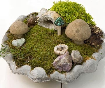 miniatur garten zwerg landschaft moos steine pilze